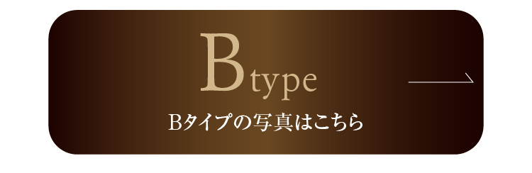 モデルルームBタイプの間取り・写真はコチラ
