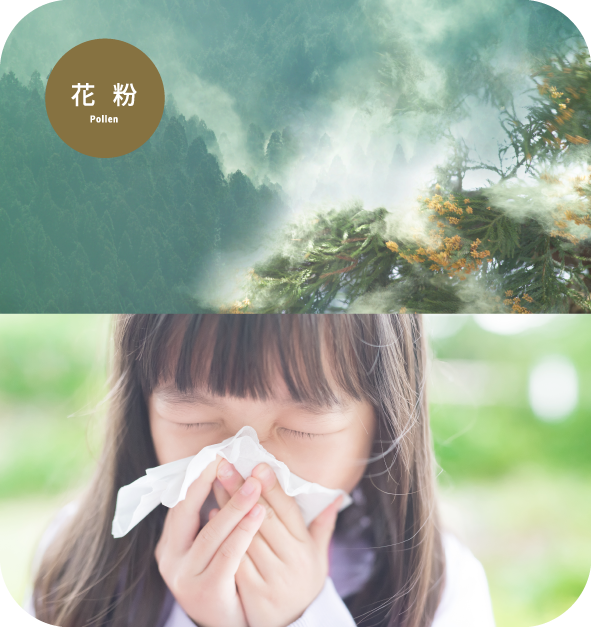 外気に浮遊している物質をそのまま給気