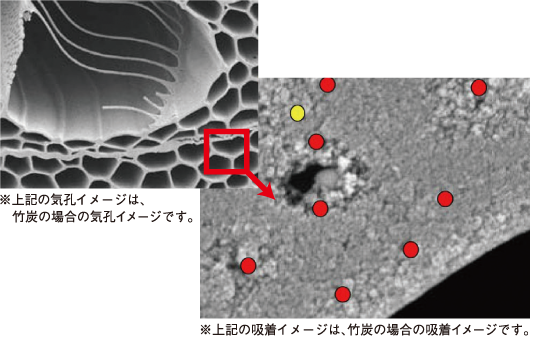 炭気孔イメージ
