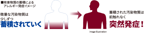 ■有害物質の蓄積によるアレルギー発症イメージ