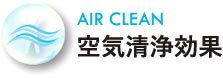 空気洗浄効果