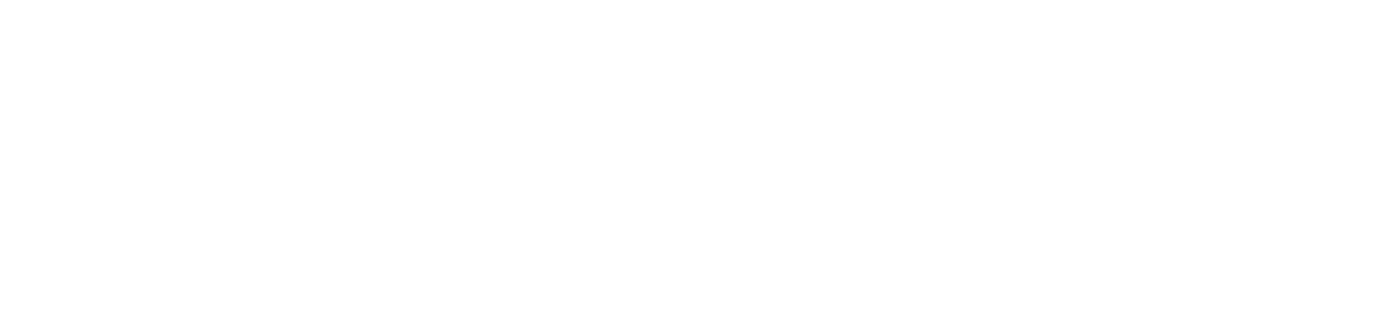 Connect! to New WAKAYAMA City