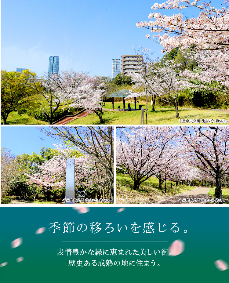 公式 アフュージアシティ千里古江台 吹田市 全115区画 千里ニュータウン フジ住宅 大阪 神戸 阪神間 北摂 和歌山の新築一戸建て 土地 マンション 公式 アフュージアシティ千里古江台 吹田市 全115区画 千里ニュータウン フジ住宅 大阪 神戸 阪神間 北摂 和歌山の新築一戸建て 土地 マンション